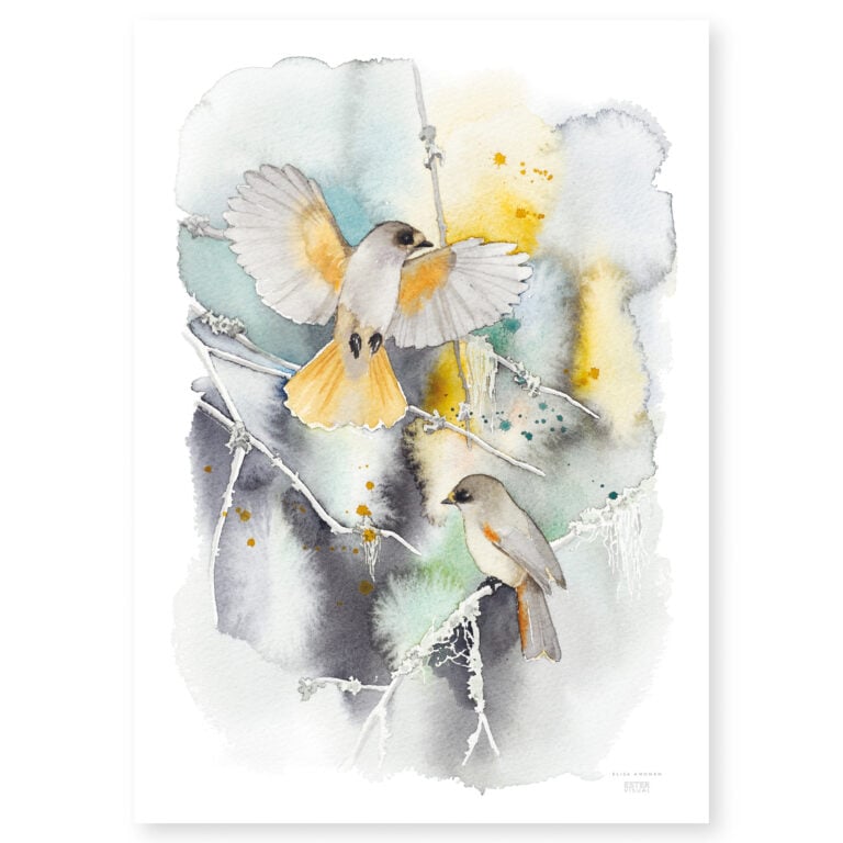 Juliste Kelometsän kuukkelit